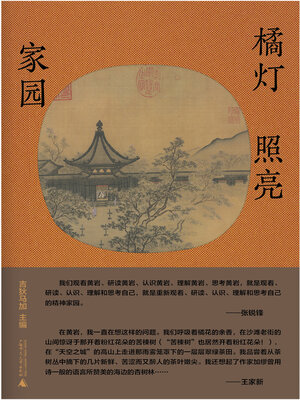 cover image of 华夏之旅丛书 橘灯照亮家园